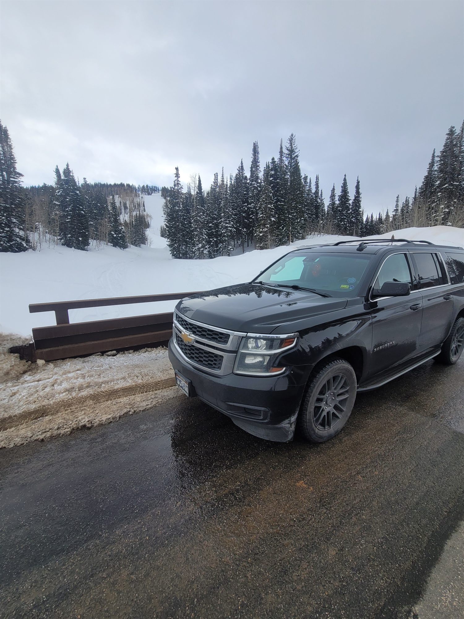 The SUV on a plowed canyon road with snow-laden pines